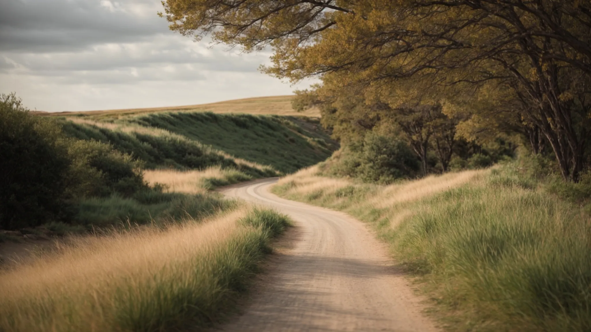a pathway stretching far ahead, its course adjusting with the curves and forks of an evolving landscape.